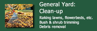 Tiplok General Yard Clean Up Services Middleton, WI