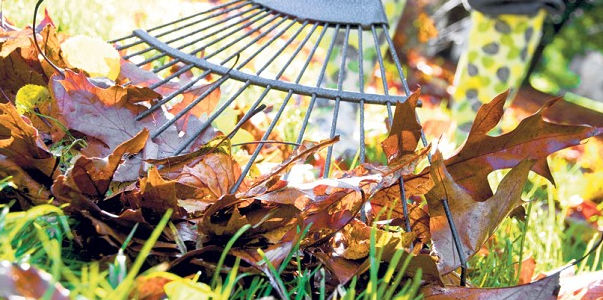 TIPLOK general yard cleanup services near me  Sun Prairie Wisconsin